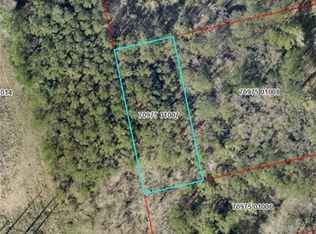 0 Saussy Rd, Pt Wentworth, GA 31407