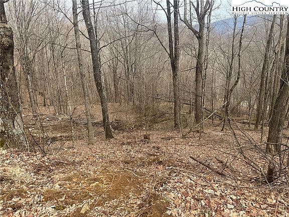 3rd image of Lot 22 Jewel Weed Trail