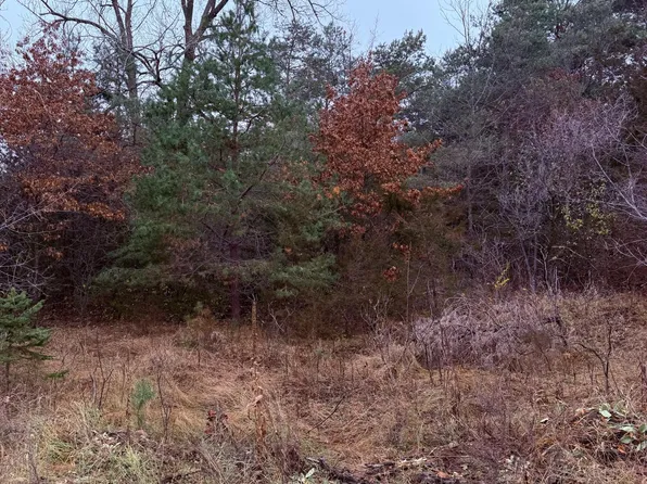 PARCEL 115th Ave NE #B, Foley, MN 56329
