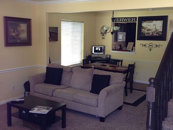 Brand new carpet (2010)