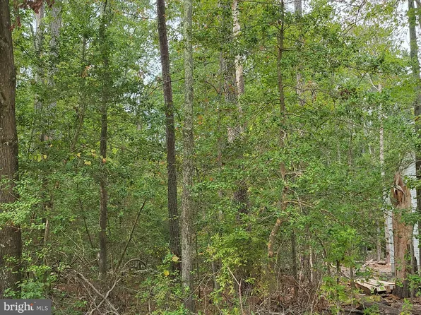 41 Wildwood Dr, Colonial Beach, VA 22443