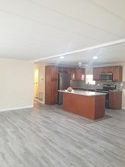 4th image of 39248 Us Highway 19 N Lot 205