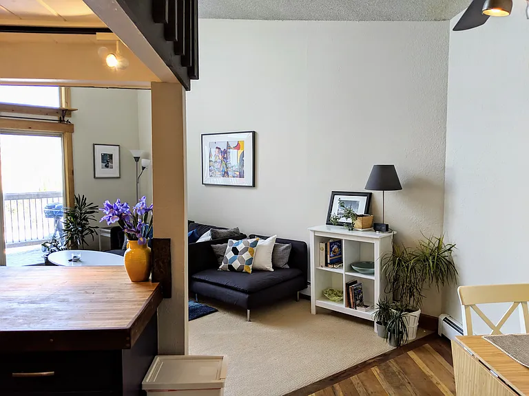 2454 Ryan Gulch Ct — Photo 15