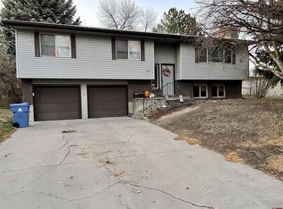 1015 Ridge St, Montrose, CO 81401