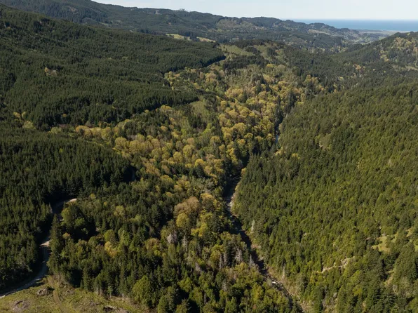0 Floras Creek Rd, Langlois, OR 97450