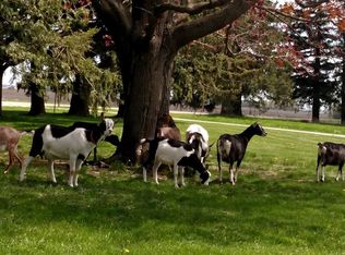 9584 74th Ave SE, Blooming Prairie, MN 55917