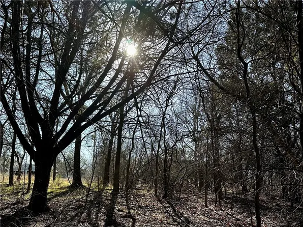 1281 Paint Brush Ct, Whitney, TX 76692