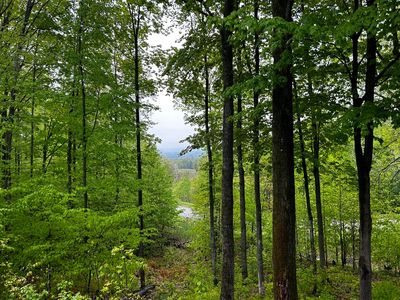 1185 Hideaway Valley Dr, Harbor Springs, MI, 49740