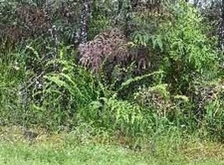 Paradise Rd LOT 123, Pahoa, HI 96778