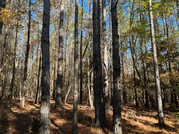 Drewry Rd, Monroeville, AL 36460