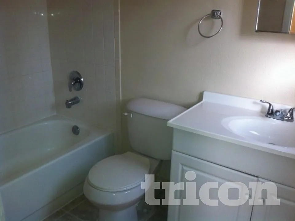 3715 Patina Drive Tampa FL — Photo 4