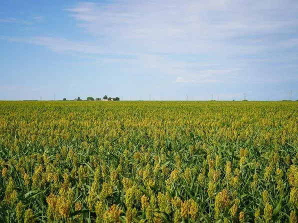 236 Road, Offerle, KS 67563