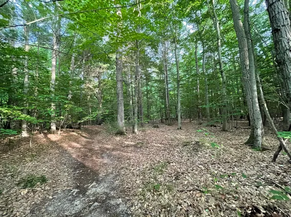 0 S Walker Cardinal Court Rd #2, Fruitport, MI 49415