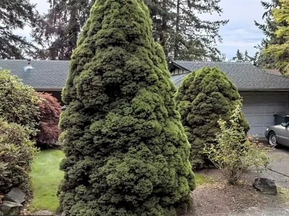 1606 180th Avenue NE, Bellevue, WA 98008