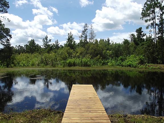 pond has catfish, brim, bass