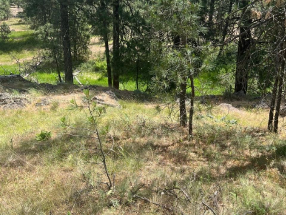 12309 S 8th, Medical Lake, WA 99022 MLS 2143045 Zillow