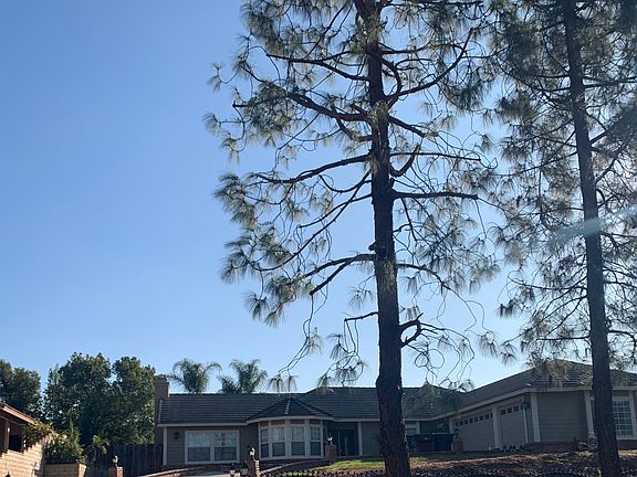 View of home from street