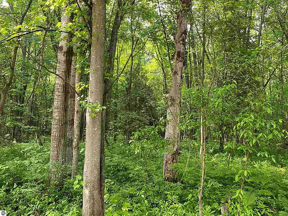 3rd image of 15991 Bentley Rd