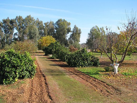 from back of house toward back of property