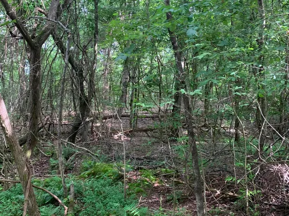 0 Magnolia Dr, Spring City, TN 37381