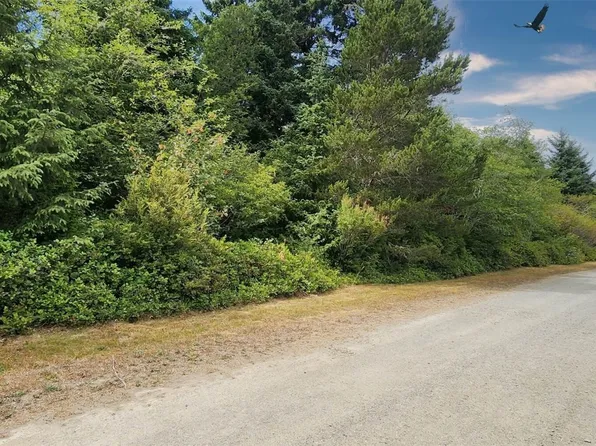 0 Tract 3 T Lane, Ocean Park, WA 98640