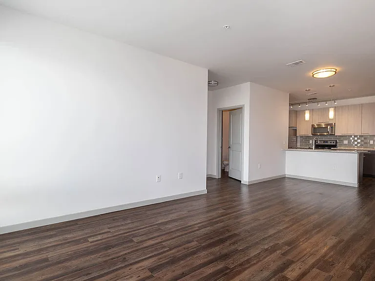 Living Area and Kitchen with Hard Surface Flooring