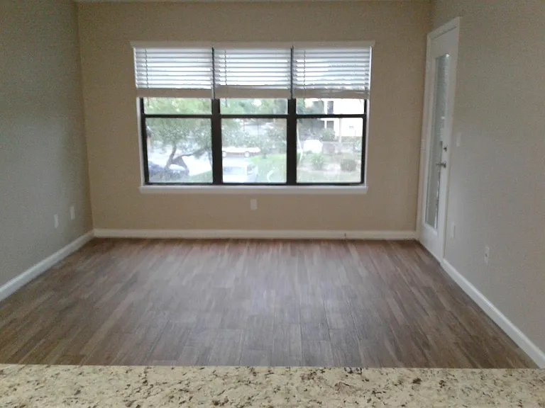 11901 4th St N #4205 — Photo 3