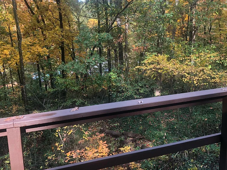 backyard in the fall- upstairs view