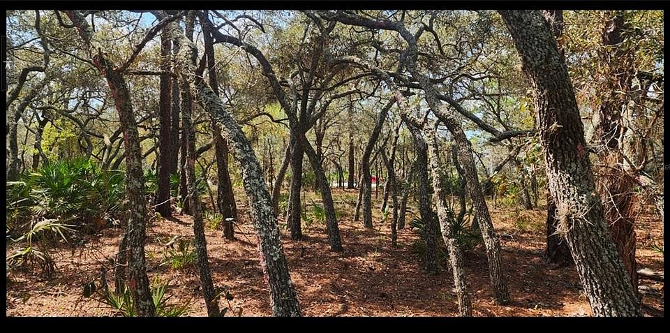 1st image of 18106 PARAKEET ROAD LOT 57