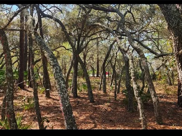 18106 PARAKEET ROAD LOT 57, BROOKSVILLE, FL 34614