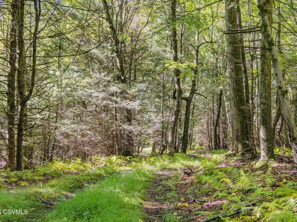 PARCEL 2 Copeland Spring Trl, Allensville, PA 17002