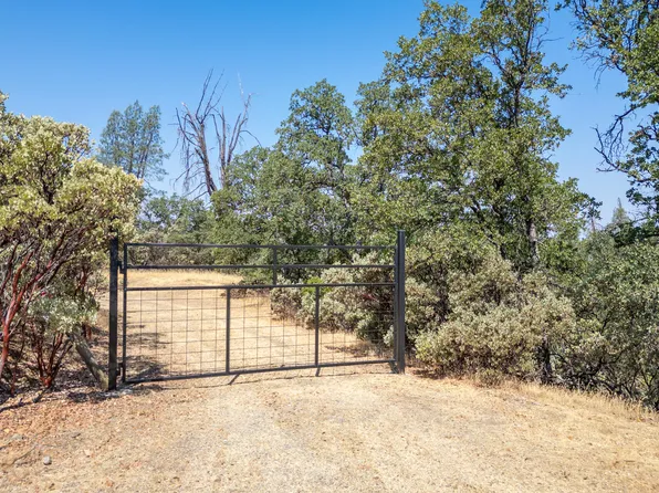 20 Acres Rolling Ridge Rd, Cottonwood, CA 96022