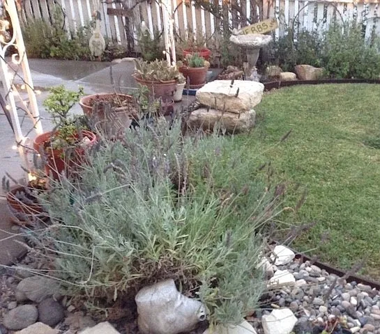 738 Vine St — Photo 22