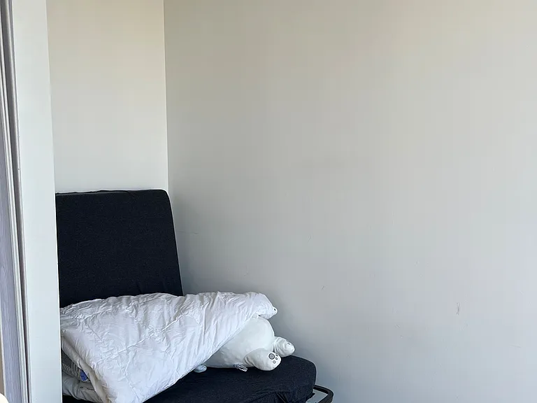 5 Saint Joseph St #2602 — Photo 15