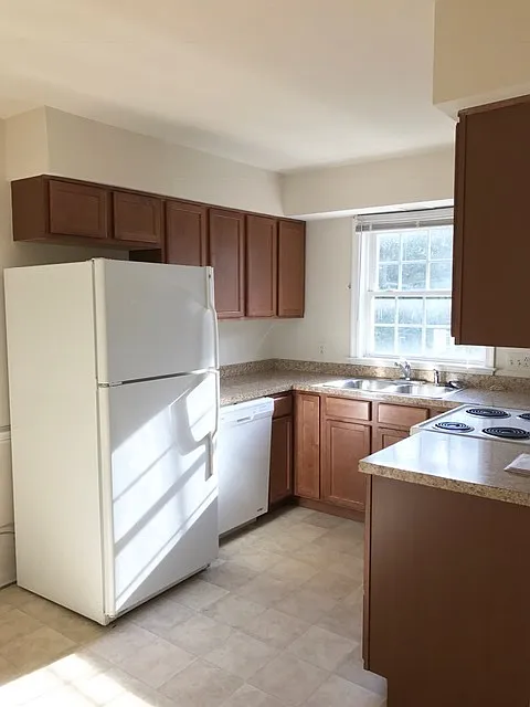 1214 William Street — Photo 4