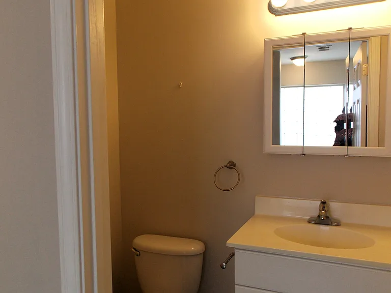 221 Addison Cottage Way — Photo 7