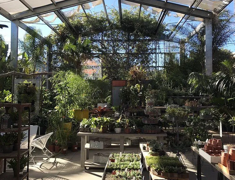 Flora Grubb Gardens