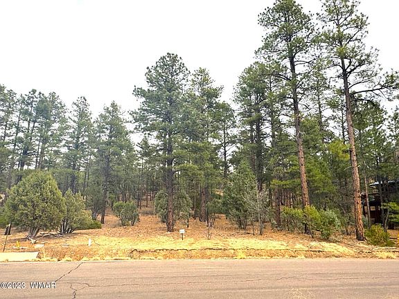 3rd image of 2121 S Bristlecone Dr