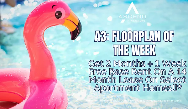 Ascend Pinegrove apartments community photo