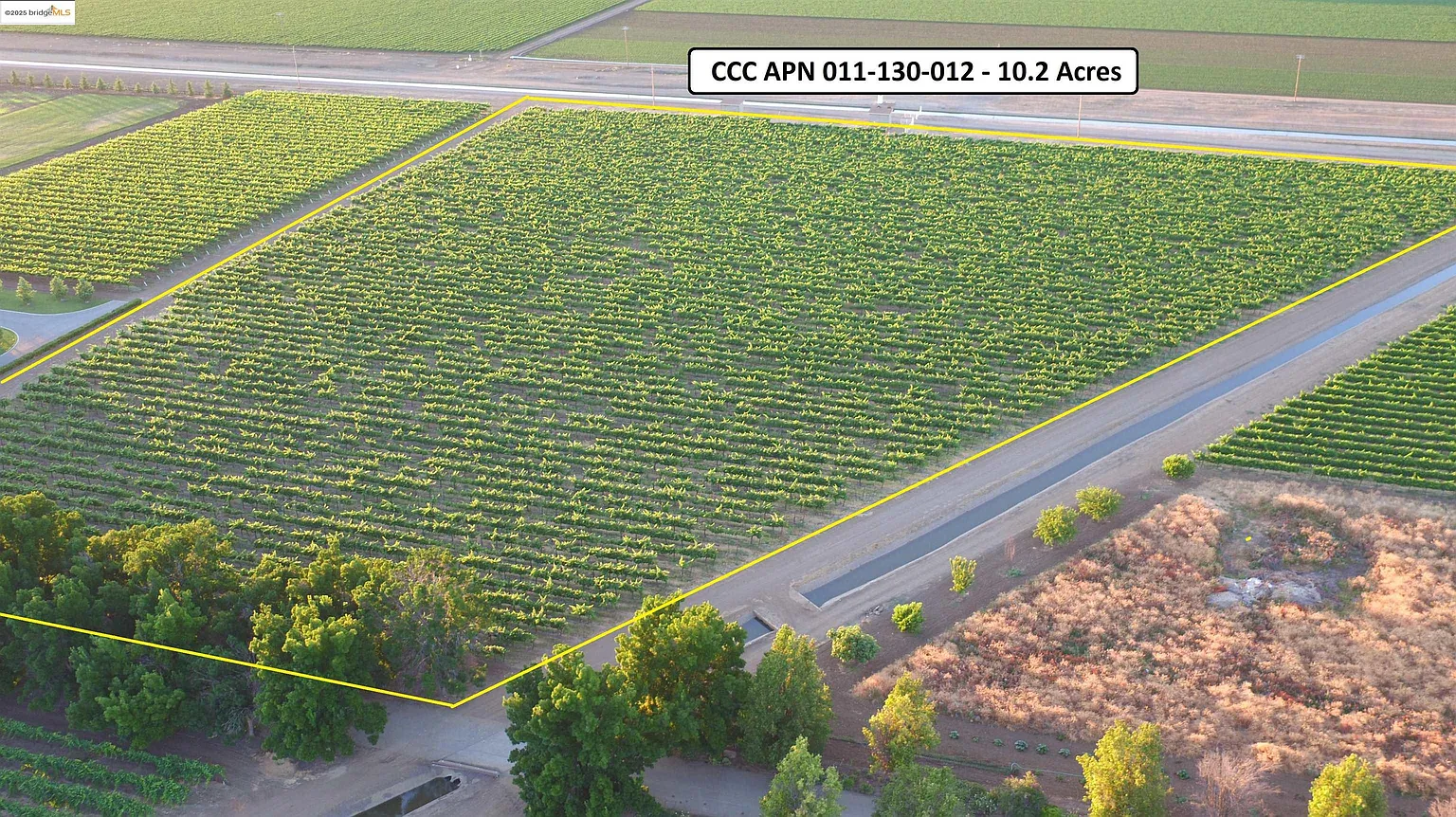 11650 Byron Hwy photo 1