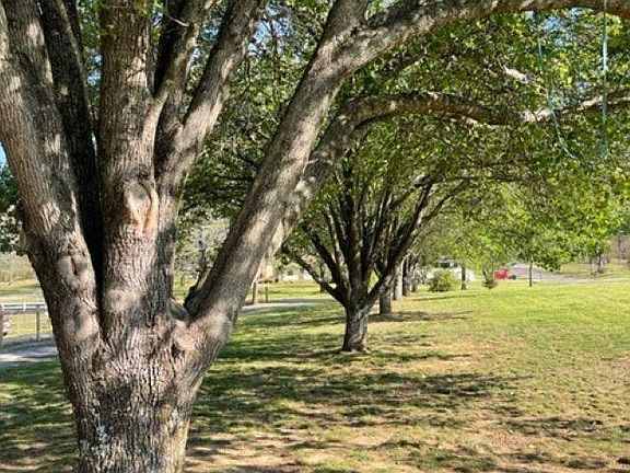 4th image of 183 Ki Ke Acres Rd