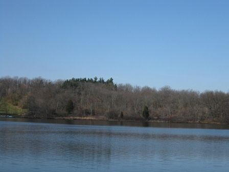 2nd image of 10000 Killarney Hwy