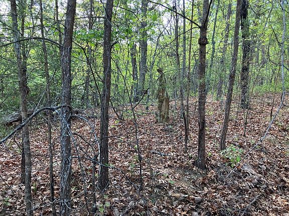 3rd image of 24 Mission Ridge Ct Lot 24