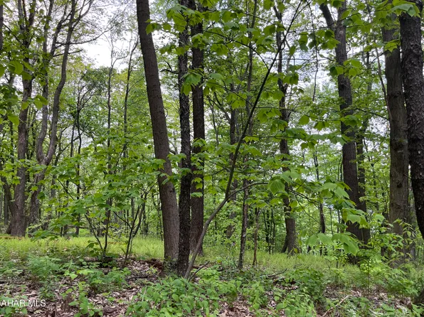 0 Little Valley Rd, Claysburg, PA 16625