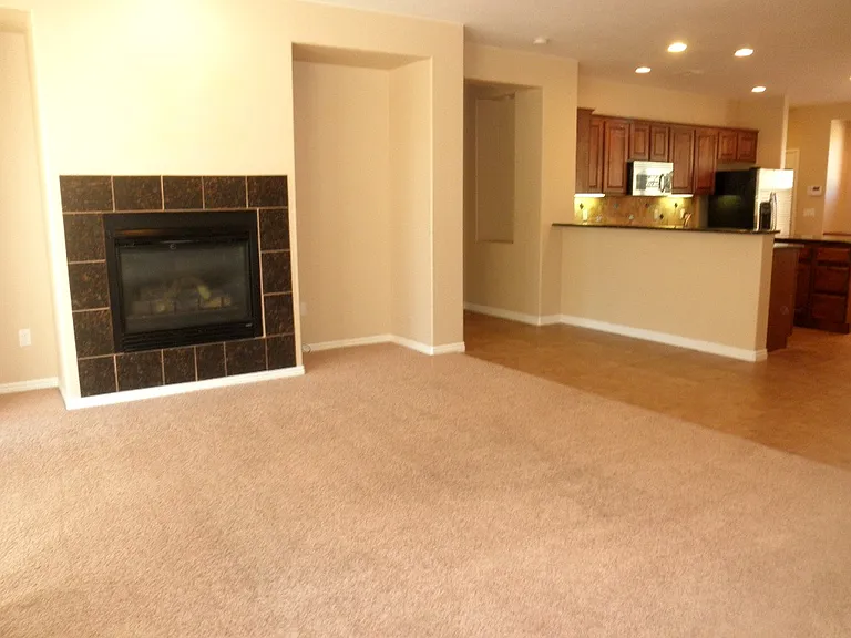 Living room fireplace_12022019