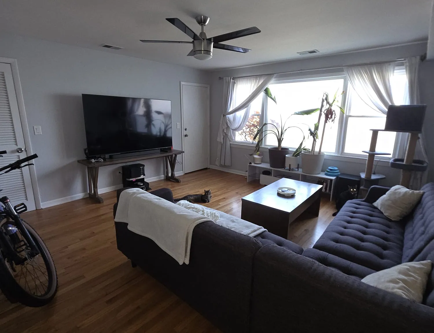 2 bed, 1000 sqft, $1,950 — Photo 2