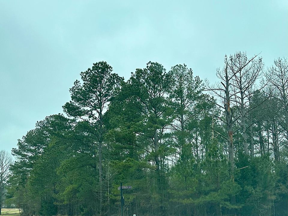 2nd image of LOT 49 Livingston Dr Lot 49