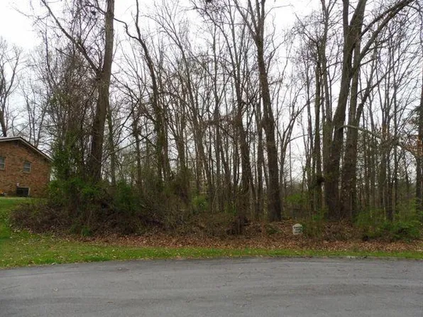 LOT 9 Briarwood Dr, Johnson City, TN 37615