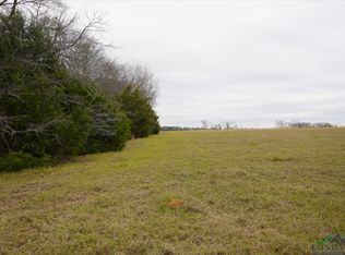 Chestnut Rd, Big Sandy, TX 75755