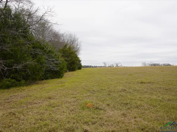 Chestnut Rd, Big Sandy, TX 75755